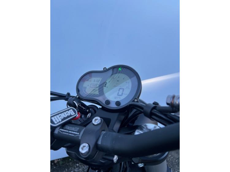 BENELLI LEONCINO 500 T - PERMIS A2